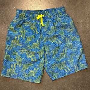 Boys Dinosaur swim shorts